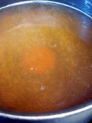 101106chinese-quince10.jpg