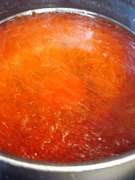101106chinese-quince11.jpg