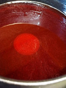 101106chinese-quince13.jpg