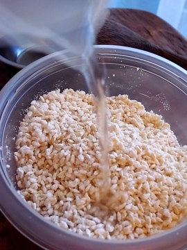 110113salted-koji4.jpg