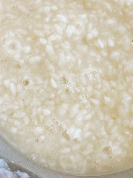 110204salted-koji2.jpg