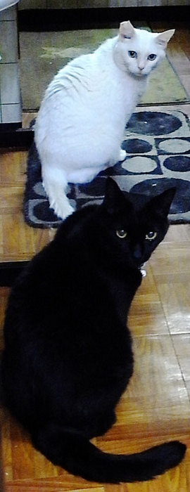 110430mimi&yuki.jpg