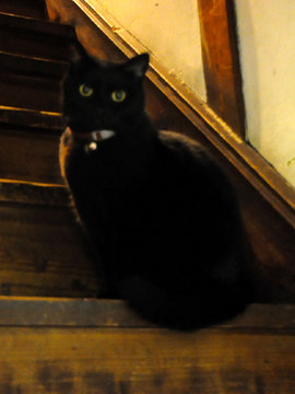 110501jiji.jpg