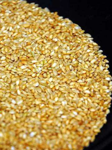 110904brown-rice2.jpg