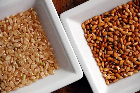110904brown-rice6.jpg