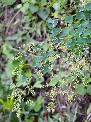 110928walk15.jpg
