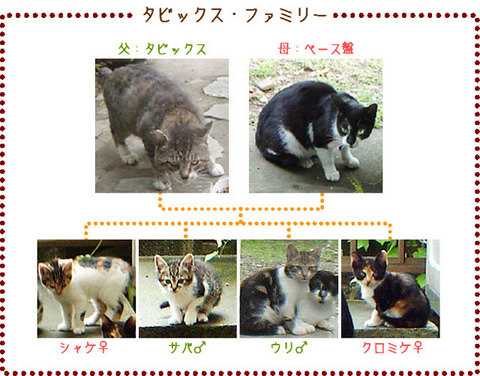 111006tabix-family1.jpg