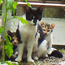 111006tabix-family4.jpg