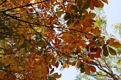 111123walk10.jpg