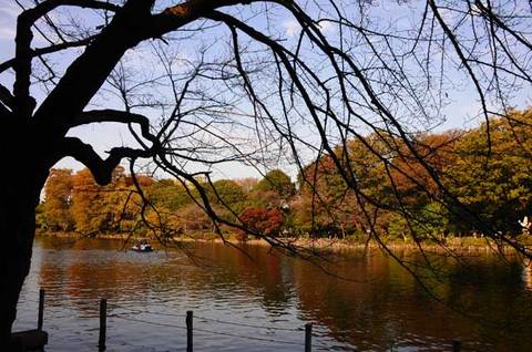 111123walk12.jpg