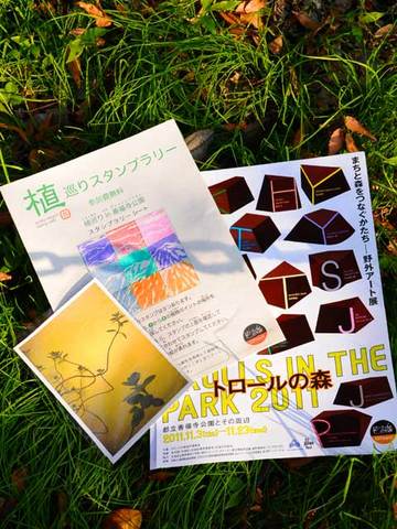 111123walk24.jpg