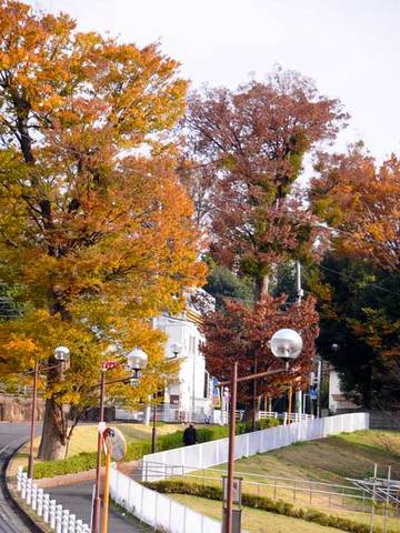 111127walk09.jpg