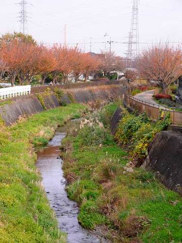 111127walk14.jpg