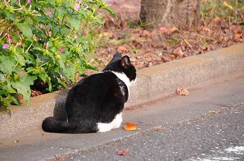 111127walk15.jpg