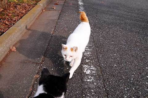 111127walk17.jpg