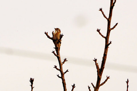111127walk23.jpg