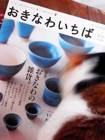 111201magazine2.jpg
