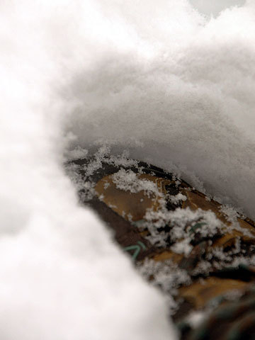 120229snow03.jpg