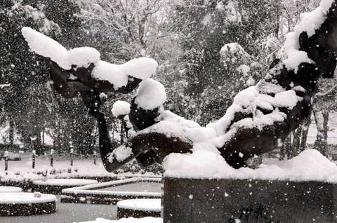 120229snow04.jpg