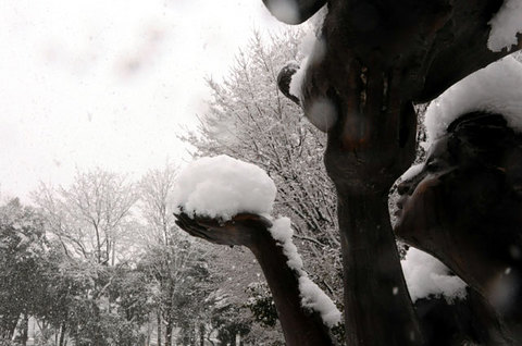 120229snow05.jpg